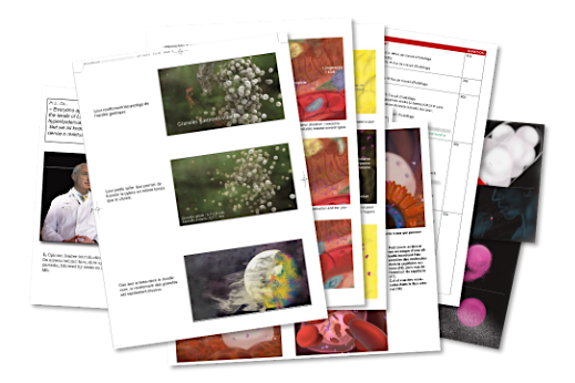 Medical storyboards composition
